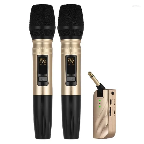 Microphones de qualité professionnelle UHF double bande sans fil système de microphone portable récepteur de charge un pour deux