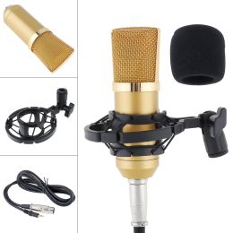 Microphones Professional Metal BM700 Microphone du condenseur avec commande de circuit et tête de diaphragme de grande en or pour le studio / KTV