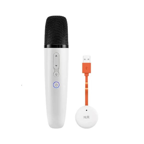 Microphones Microphone sans fil Puremic avec récepteur spécial pour BYD Vision vente originale 231204