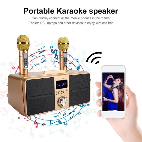 Microphones SD309 double Microphone sans fil Bluetooth haut-parleur Mobile sans fil karaoké haut-parleur sans fil stéréo noir 30W SDRD haut-parleur ensemble