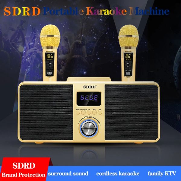 Microphones SD309 MIC karaoké Machine haut-parleurs Bluetooth portables avec 2 microphones sans fil LED lumières karaoké Mode chanson pour adultes enfant