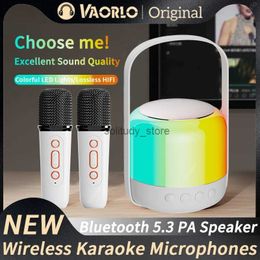 Microphones Wireless Dual Microphone Karaoke Machine KTV DSP System Bluetooth 5.3 PA EN DOING RVB COULEUR LED LED 3D HIFI STEREO SOUTERQ