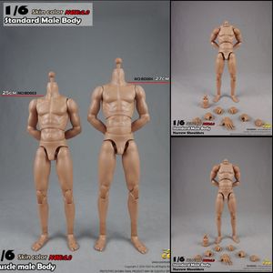 Militaire cijfers Coomodel 1/6 Standaard Muscle Male soldaat Body BD001 BD002 BD003 BD004 25/27cm Militaire actie Figuur Doll 230811