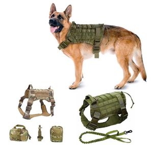 Huisse de chien tactique militaire Viete de compagnie de berger allemand avec maîtrise en nylon Lungee Lash pour petits chiens de gros chiens