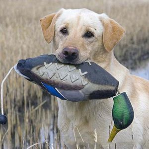 Bootst dode eend bumper speelgoed na voor het trainen van puppy's of jachthonden leert wilde eend watervogels spel ophalen eend dummy