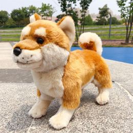 Mini animal shiba inu muñeca suave juguete de peluche mascota akita juguete para perros juguete para peluche para niños decoración de regalos 24x30cm DY50764221J