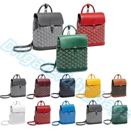 MINI sac à dos Style gy Alpin mode cartable Cross Body Designer sac d'école hommes en cuir véritable épaule femmes luxe vacances célèbre sac à dos duffle sacs de voyage