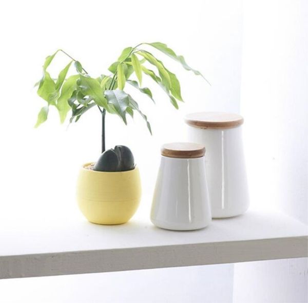 Mini pots de fleurs en plastique ronds colorés, décor de bureau à domicile, jardinière, artisanat décoratif dans la chambre à coucher, le salon