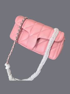 Mini sac à bandoulière pour femmes designer sac tabby sac fourre-tout pour femmes sac de taille luxe croix de corps sac à main