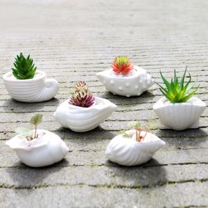 Mini vlezig bloem pot duim pot witte shell conch oceaan succulente bloempot keramiek hot koop gratis verzending SN5168