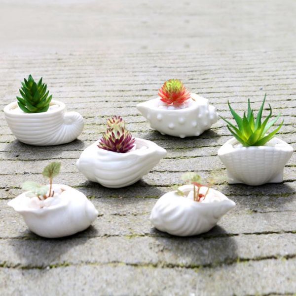 Mini Pot de fleur charnu, Pot de pouce, coquille blanche, conque océan, Pot de fleur succulente en céramique, offre spéciale, livraison gratuite SN5168