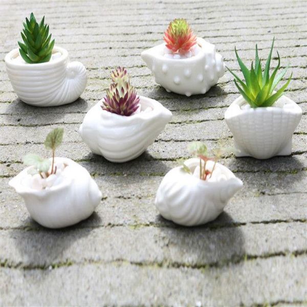 Mini Pot de fleur charnu Pot de pouce coquille blanche conque océan Pot de fleur succulente céramique 221P