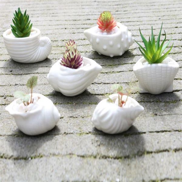 Mini Pot de fleur charnu Pot de pouce coquille blanche conque océan Pot de fleur succulente céramique 300B