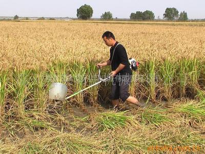 Mini gasoline rice cutter/ weeds cutter/soybean paddy harvester