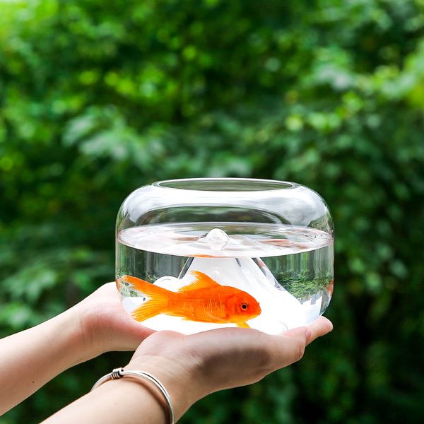Mini Glass Creative Transparent Fish Bowl Snow Mountain Fish Tanks Bureau Micro Paysage Poix de poisson Aquariums Aquariums