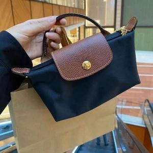 Mini Handtas mode niche portemonnees en handtassen designer tassen y2k dames nieuwe lente herfst veelzijdige ontwerper casual tas