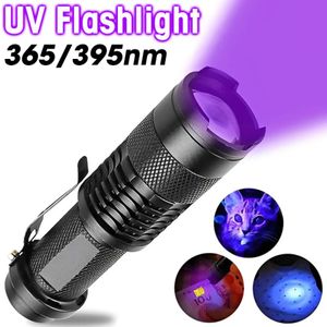 Mini torche ultraviolette de lampe de poche de lumières UV de LED avec les lampes-torches ultra-violettes zoomables de 395nm pour la détection de taches d'urine d'animal familier