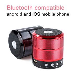 Haut-parleur Bluetooth sans fil portable avec support de lanière Carte TF Disque U mains libres WS887 Mini haut-parleurs ronds avec fonction MP3 FM dans une boîte de vente au détail