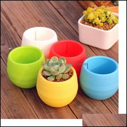 Mini ronde plastic vlees plant bloem pot tuin thuiskantoor decor micro landschap planter hoge kwaliteit C537 drop levering 2021 plantenbakken po