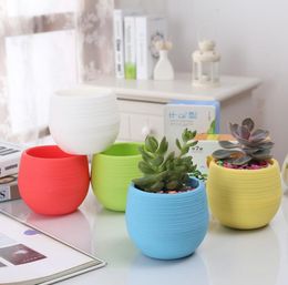 Mini Ronde Plastic Succulente Plant Bloem Pot Tuin Home Office Desktop Decor Micro Landschap Planter Onbreekbare Bloempot SN5331