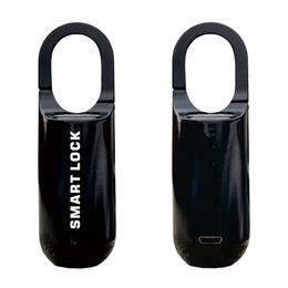 Mini Smart Hangslot USB Oplaadbare Vingerafdruk Ontgrendel Controle Draagbare Keyless Deurslot Beveiliging zonder APP NO WIFI Waterpoof