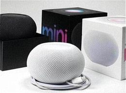 Miniluidsprekers Slimme luidspreker voor HomePod Draagbare Bluetooth Stemassistent Subwoofer HIFI Diepe bas Stereo TypeC Bekabelde klankkast219071191