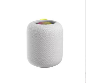 Mini haut-parleurs haut-parleur intelligent pour Homepod Portable Bluetooth Assistant vocal Subwoofer Hifi basses profondes stéréo Typec son filaire