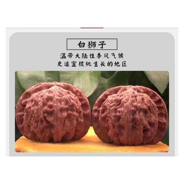 Miniatures Wenwan Walnuts Natural Handball Health Care Grip Ball Palm Massage Gadget Chinois Gift Elderly Good Match Pailing Special Variet