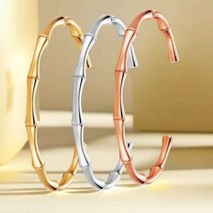 Bracelet de conception minimaliste pour les femmes avec un sentiment de luxe sans décoloration avec des bracelets originaux de Carrtiraa