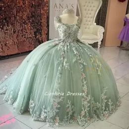 Mintgroen Kralen Kwastje Quinceanera Jurk lace-up corset Off Schouder 3D Bloemen Applicaties Corset Sweet 15 Vestidos De