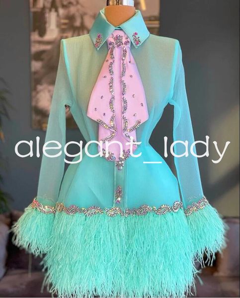 Mint Organza Vestidos cortos de fiesta de graduación Manga larga Falda de plumas con cuentas de cristal Mini vestido para ocasiones de cumpleaños y noche