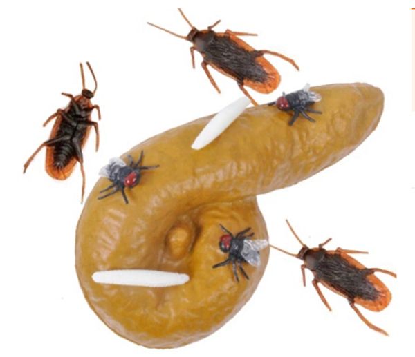 Mischief Turd Flies Cockroach Gag Gift 3 Pcs / set Réaliste Shits Merde Faux Feces Maggot Pratique Farces Drôle Blague Insectes Gadget Jouet