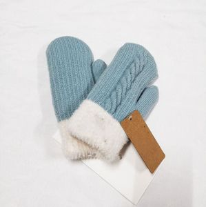 Mittens Fashion Women Gloves voor Winter en Autumn Cashmere Mittens Glove 2023