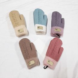 Mitaines joli gant épaississement étudiant simplicité peluche Double pont gants classiques garder au chaud enveloppement doigt femme homme hiver