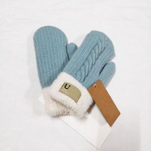 Wanten Mooie Handschoen Verdikking Student Eenvoud Pluche Dubbeldeks Klassieke Handschoenen Warm Houden Wrap Vinger Vrouw Man WinterAAA
