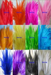 Mélangez des couleurs de coq plumes de faisan plume diy collier de boucle d'oreille chapeau masque décor de plumes bœuf 1000pcs 46 pouces 1015cm6598520