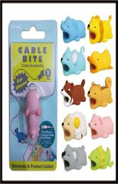 Mélange des conceptions Cable Bite Protector pour iPhone Cable Winder Téléphone Halder Accessory Chompers Rabbit Dog Cat Animal Doll Model Funny8556098