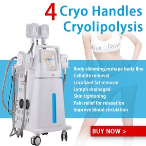 Model Criolipolisis Slimming Fat Freeze Machine Lipolaser Persoonlijk gebruik Cryotherapie Lipo Laser Ultrasone cavitatie RF -machines