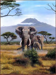 Moderne kunst decor dierlijke olifant olieverf foto HD afgedrukt op canvas voor de zitkamer versiering kunst A57