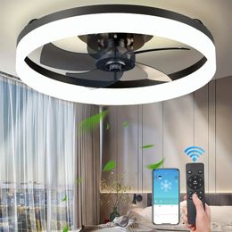 Ventilateur de plafond moderne avec moteur LED Light DC 50 cm grand volume d'air télécommande pour la salle à manger de la cuisine