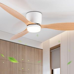 Moderne led-plafondventilator zonder verlichting DC-motor 6 snelheden Timing Fans Low Floor Loft Afstandsbediening Decoratieve ventilator met licht