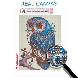 Momoart Diamond Mosaic Owl Cross Stitch Diamond Painting Animal Full Square broderie Rigicestone Picture d'aiguille