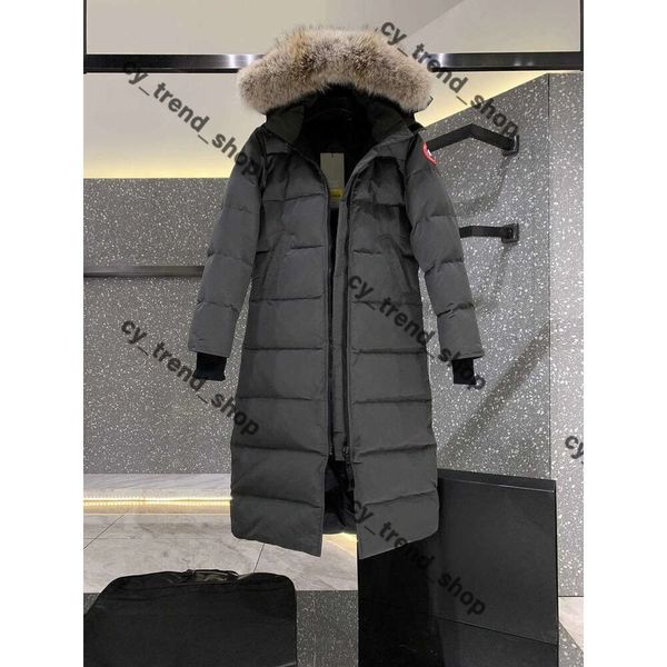 Monclair Veste Designer Veste Hommes Down Manteau Bright Matte Style Femmes Élégant Chaud Hiver Gooses Veste De Luxe À Capuchon Coupe-Vent Vêtements En Plein Air Monclairjacke 62