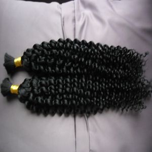 Mongol Afro Kinky Curly pas de trame de cheveux humains en vrac pour le tressage 100g Kinky Curly Mongol Bulk Hair 1pcs Human Braiding Hair Bulk