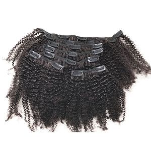Afro mongol Afro Kinky Curly Virgin Hair African American Clip dans les extensions de cheveux humains pour les femmes noires
