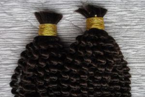 Mongolian Kinky Curly Bulk Hair 2 Bundles Cabello humano para trenzar sin accesorio 200g sin trama de cabello humano para trenzar3626158