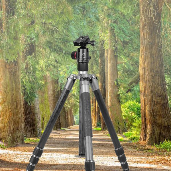 Monopodes A83 + T21 Caméra SLR Tripode de fibre de carbone entrelacée Trépiet stable Tripod détachable Single Foot Panoramic Scale Amortissement Tête de balle