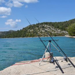 Les cannes à pêche monopodes prennent en charge le support de tige télescopique multifonction a réglable l'équipement de pêche extérieur