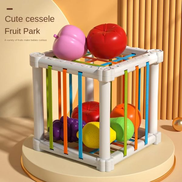 Montessori Baby Toys 6 12 meses Juegos de desarrollo educativo de niños Sazador de aprendizaje para niños Regalo de niño de 1 año
