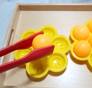 Gratis verzending Montessori Early Childhood Education Hands Catch the Ball Lesing Aids Montessori Hand-Eye Coordination Toy Living Family Toy